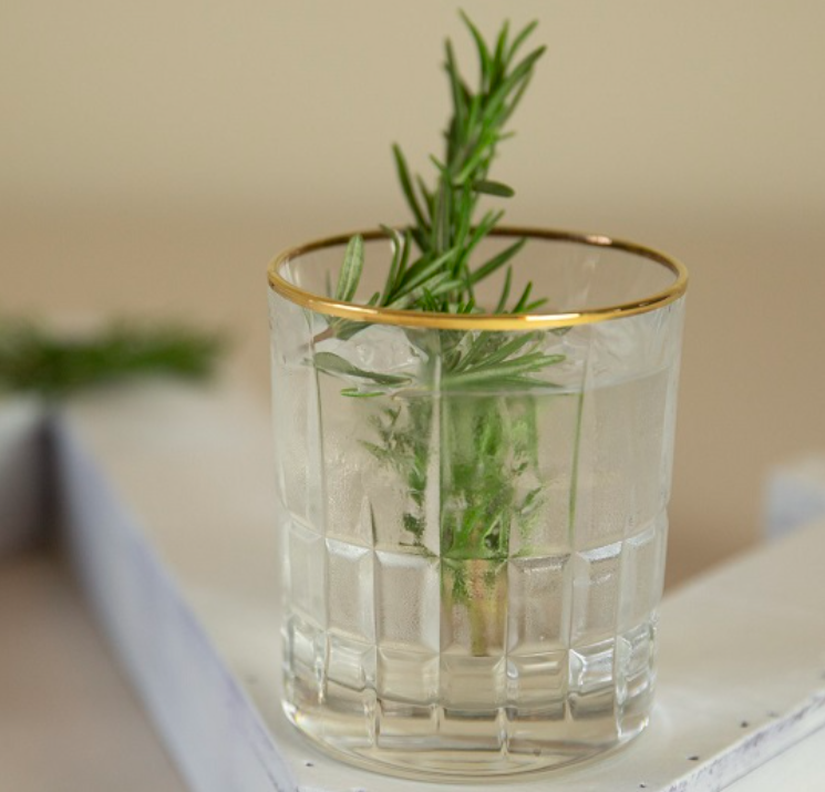 cocktail with clear liquid and sprig of rosemary